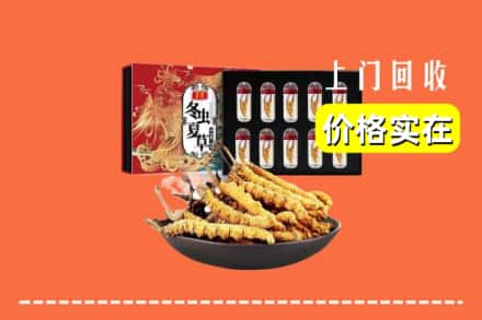 阿坝州黑水回收冬虫夏草